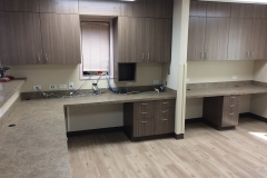 NI-15-008 Syringa Corridor Hospital Renovations